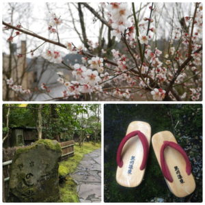 黒川温泉の桜