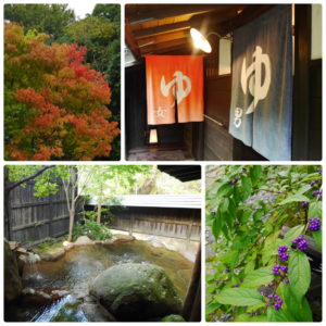 野の花温泉