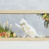 猫タッチ