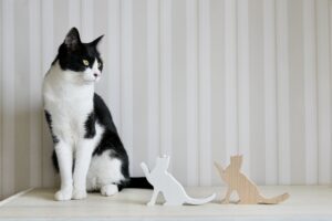 猫のシルエット