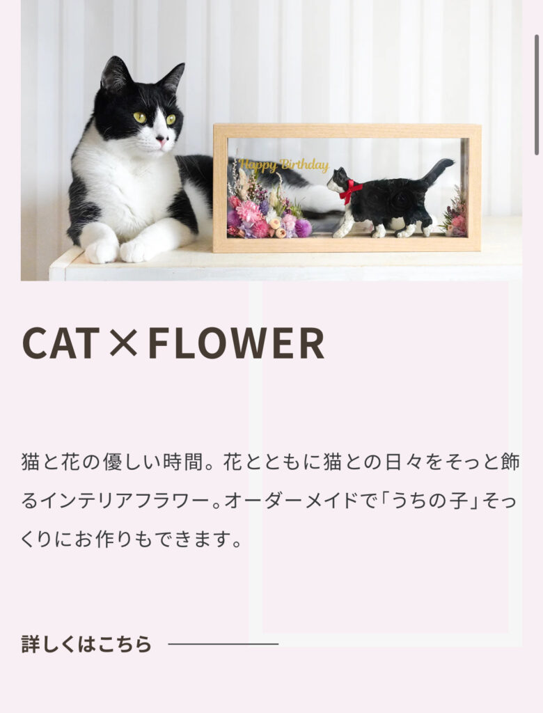 猫のプリザーブドフラワー