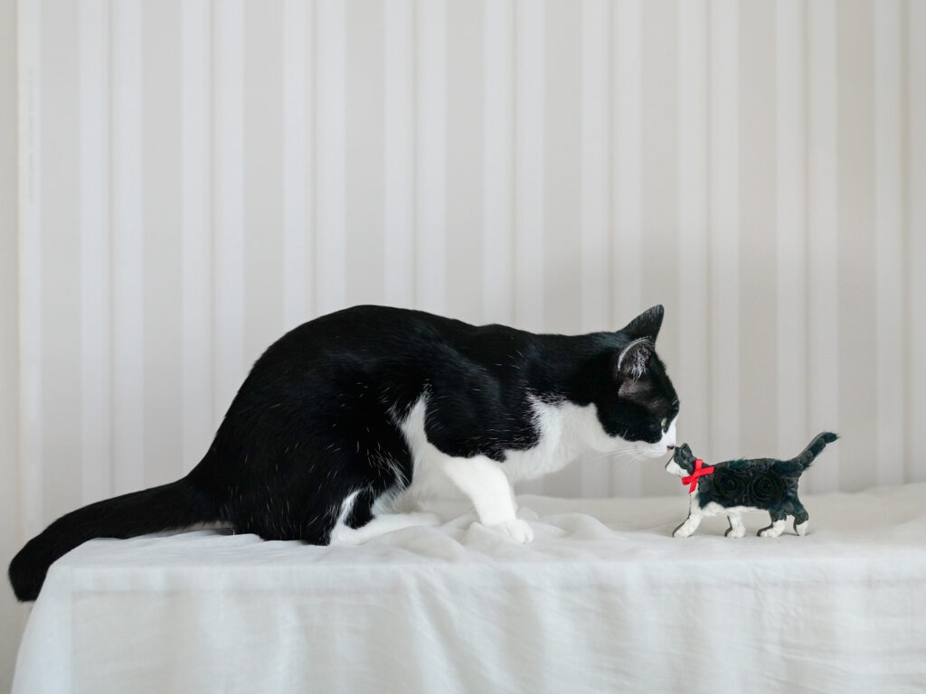 猫のプリザーブドフラワー