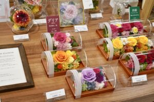 トキハ　プリザーブドフラワー