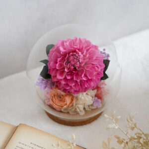 dahlia-preserved-flower