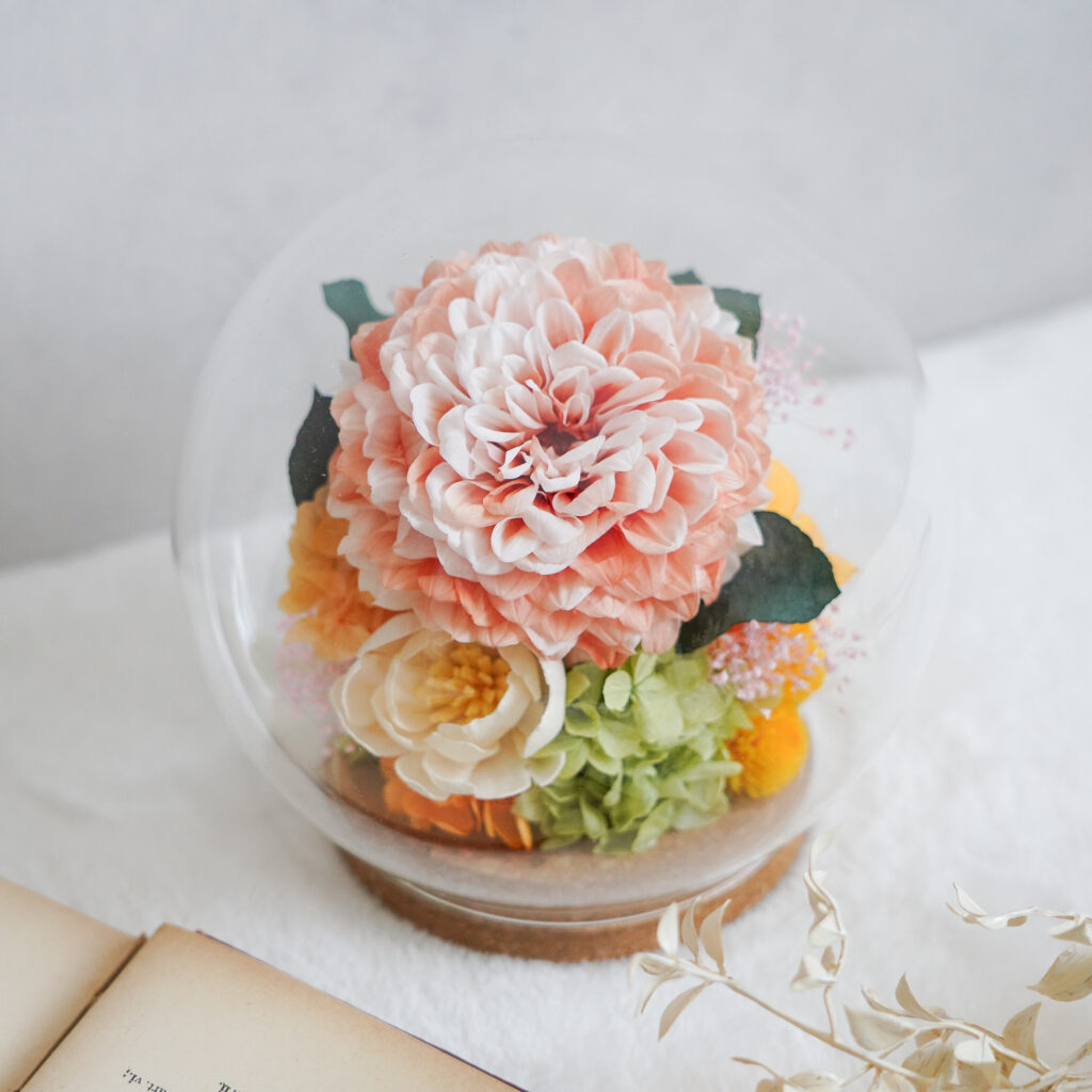 dahlia-preserved-flower