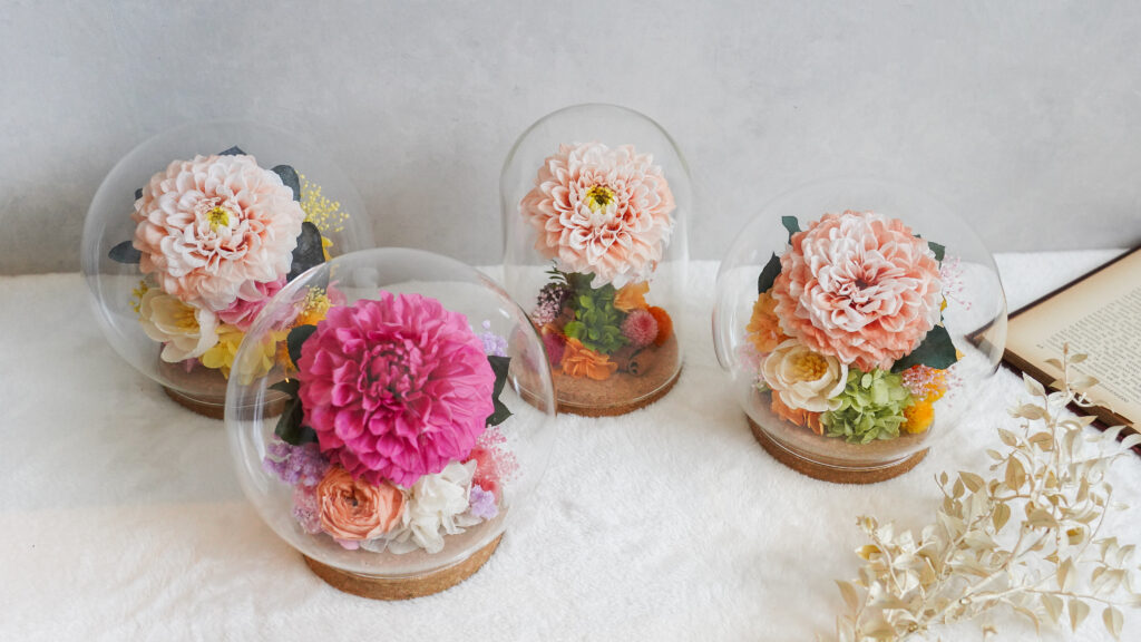 dahlia-preserved-flower