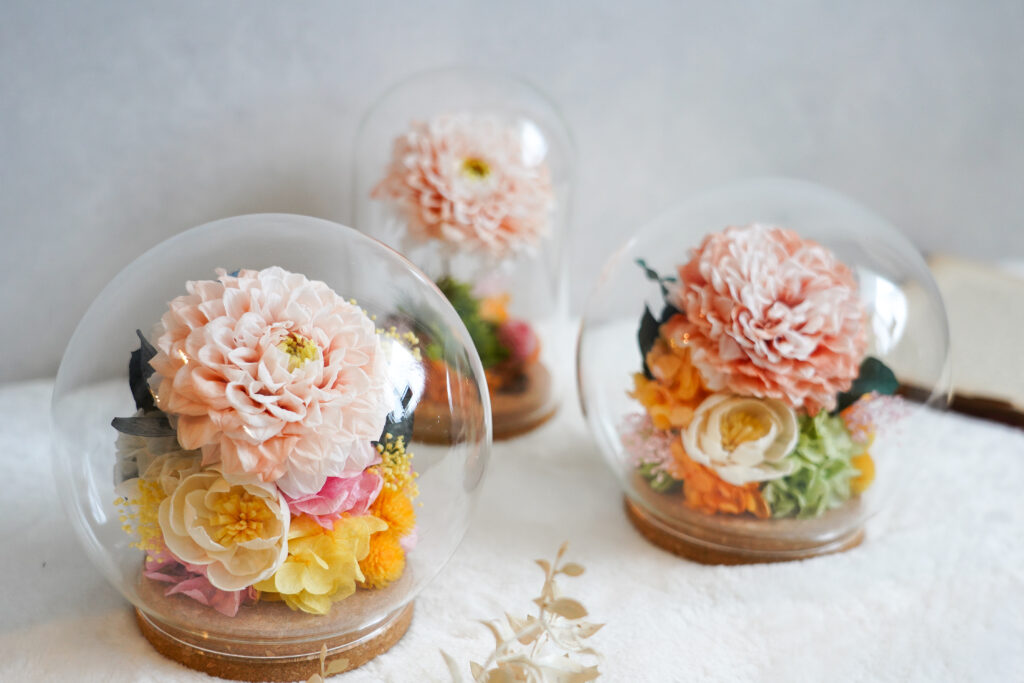 dahlia-preserved-flower