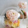 dahlia-preserved-flower