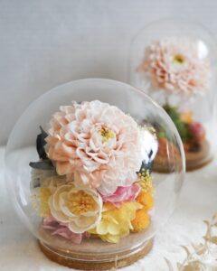 dahlia-preserved-flower