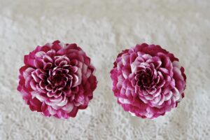 dahlia-preserved-flower