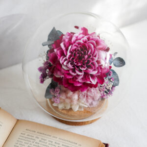 dahlia-preserved-flower