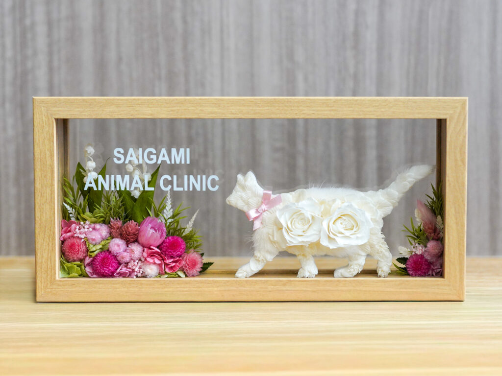 動物病院開店祝い